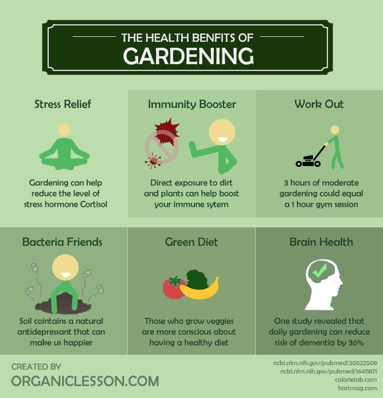 gardening-a-comprehensive-guide-from-planning-to-harvesting