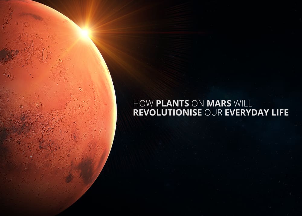 growing plants on mars experiment