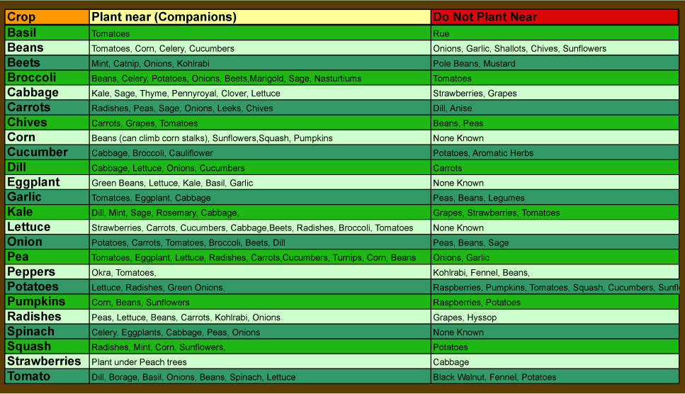companion-planting-chart4