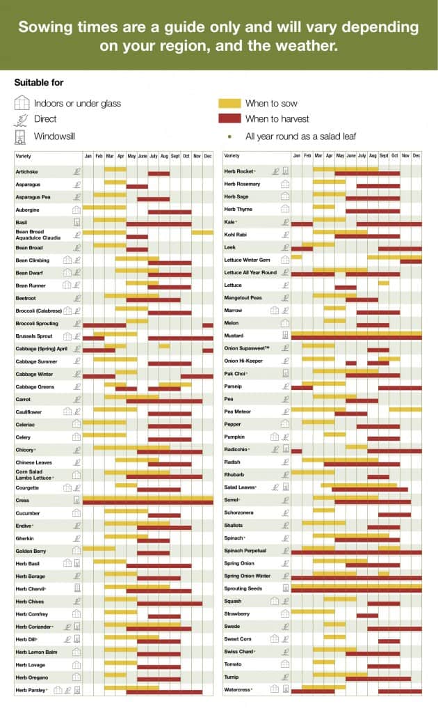 GARDENING: A Comprehensive Guide From Planning to Harvesting