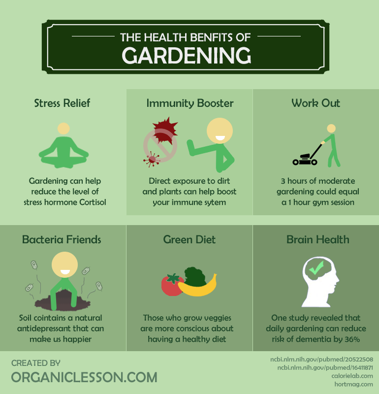 health-benefits-of-gardening-infographic