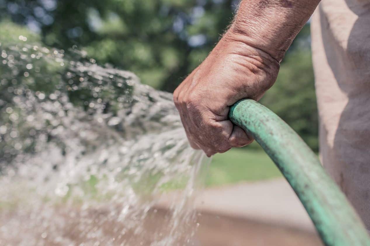 worms-in-the-garden-3-water-soil