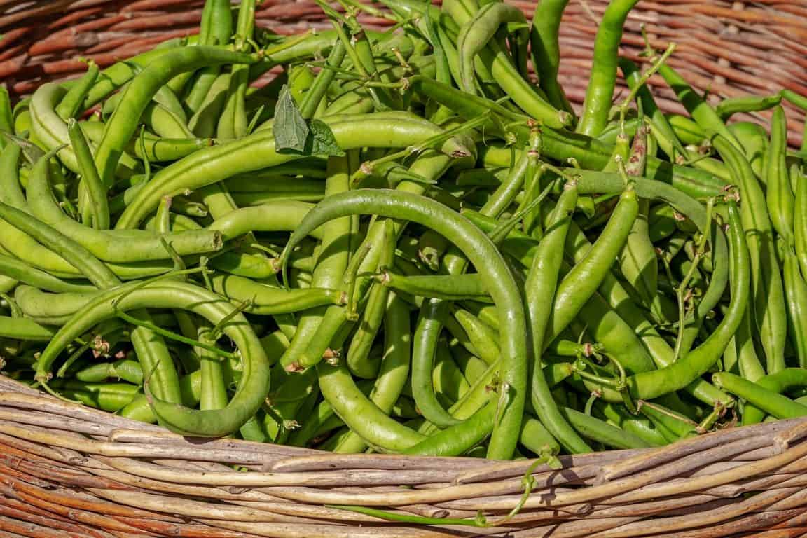 fast-growing-vegetables-5-beans-pixabay