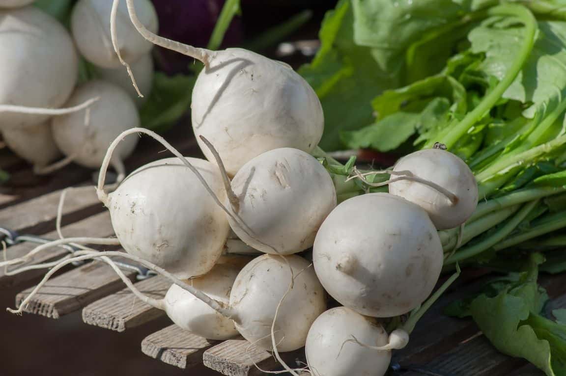 fast-growing-vegetables-6-turnips-pixabay